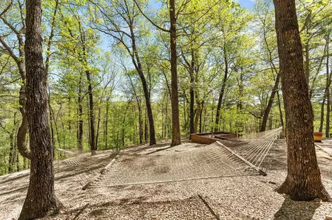 Exterior - 160 Old Horseshoe Rdg, Lampe, MO 65681 photo 11 of 13