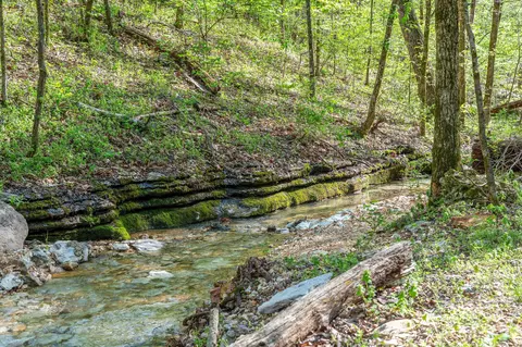 Other - 160 Old Horseshoe Rdg, Lampe, MO 65681 photo 20 of 23