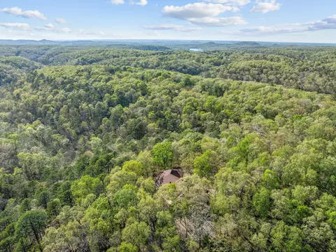 View/Area - 160 Old Horseshoe Rdg, Lampe, MO 65681 photo 4 of 4