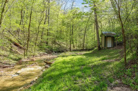 Exterior - 160 Old Horseshoe Rdg, Lampe, MO 65681 photo 13 of 13