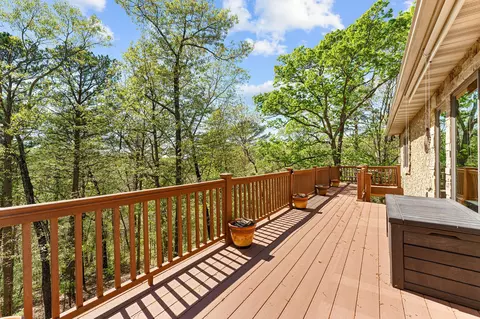 Exterior - 160 Old Horseshoe Rdg, Lampe, MO 65681 photo 7 of 13