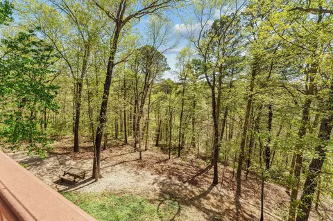 Exterior - 160 Old Horseshoe Rdg, Lampe, MO 65681 photo 8 of 13
