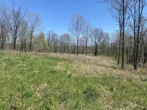 000 Joshua Tree Rd, Highlandville, MO 65669