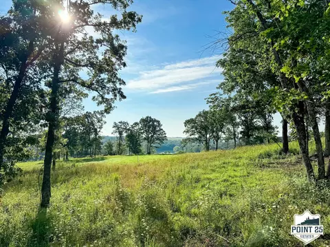 lot40 A Boulder Rdg, Eagle Rock, MO 65641 photo 5