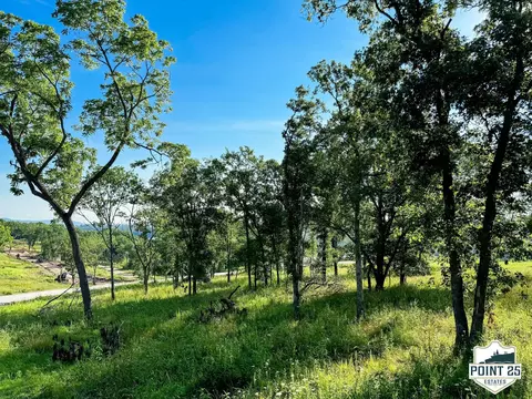 lot40 A Boulder Rdg, Eagle Rock, MO 65641 photo 4
