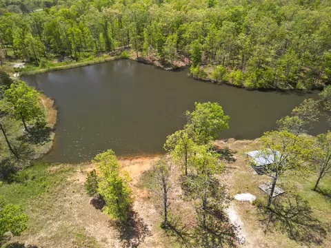 12397 Ad Hwy # -C, Cabool, MO 65689 photo 4