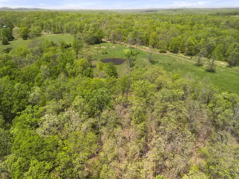 12397 Ad Hwy # -C, Cabool, MO 65689 photo 28