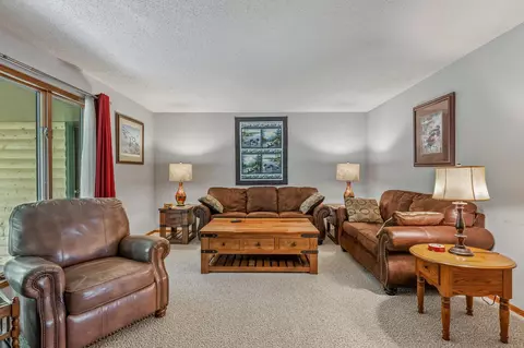 1320 Terrill Creek Rd, Billings, MO 65610 photo 11