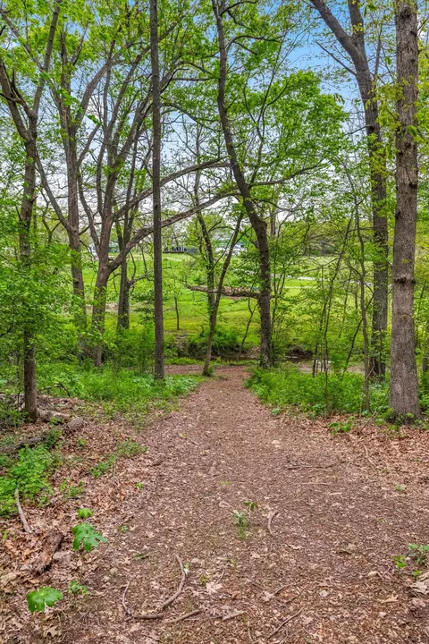 1320 Terrill Creek Rd, Billings, MO 65610 photo 54