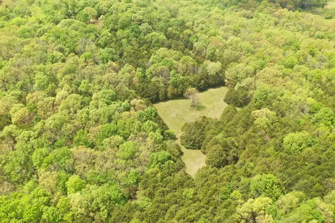 000 W Farm Road 26, Willard, MO 65781 photo 3