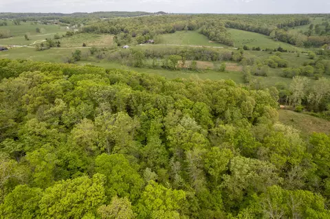 000 Dennis Rd, Mansfield, MO 65704 photo 9