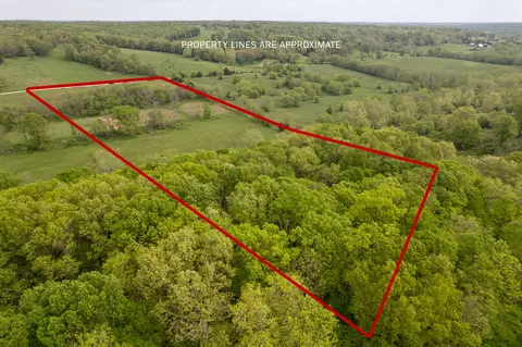 000 Dennis Rd, Mansfield, MO 65704 photo 12