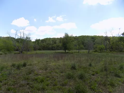 000 Dennis Rd, Mansfield, MO 65704 photo 18