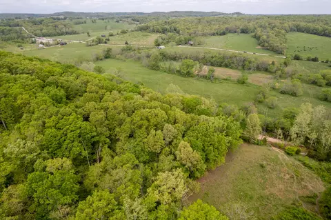 000 Dennis Rd, Mansfield, MO 65704 photo 8