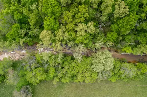000 Dennis Rd, Mansfield, MO 65704 photo 6