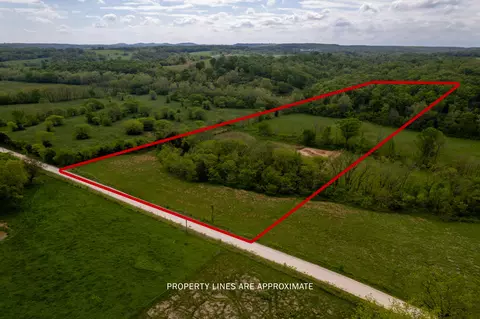 000 Dennis Rd, Mansfield, MO 65704 photo 2