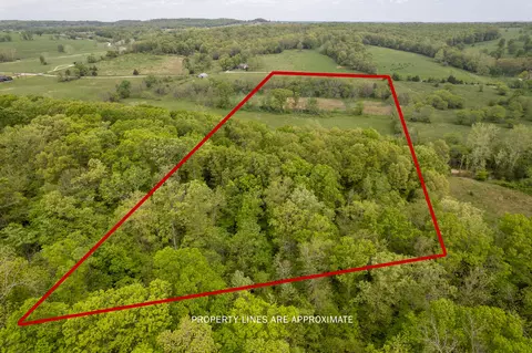 000 Dennis Rd, Mansfield, MO 65704 photo 10