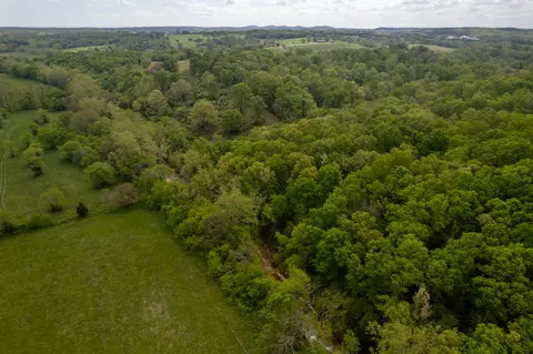 000 Dennis Rd, Mansfield, MO 65704 photo 13
