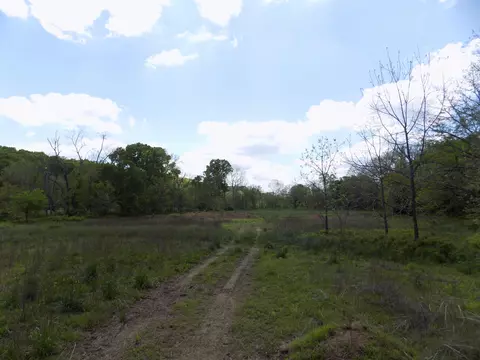 000 Dennis Rd, Mansfield, MO 65704 photo 19