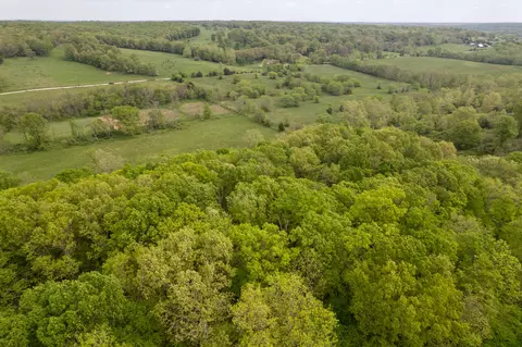 000 Dennis Rd, Mansfield, MO 65704 photo 11