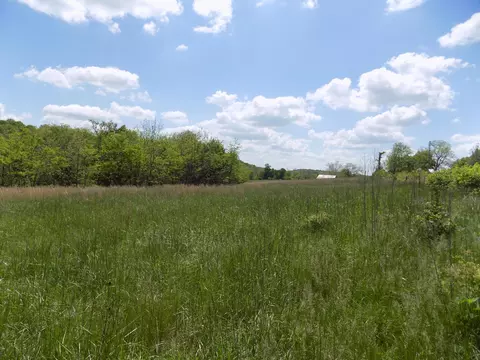 000 Dennis Rd, Mansfield, MO 65704 photo 17