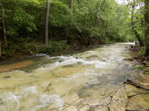 000 Dennis Rd, Mansfield, MO 65704 photo 25