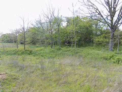 000 Dennis Rd, Mansfield, MO 65704 photo 20