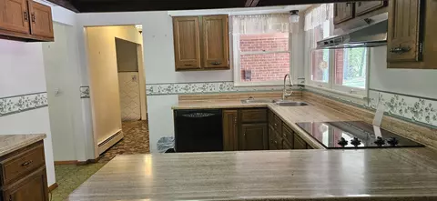 251 Rays Rd, Ellington, MO 63638 photo 15