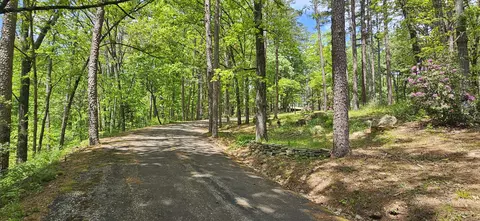 251 Rays Rd, Ellington, MO 63638 photo 45