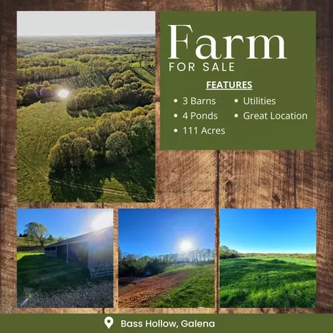 000 Bass Hollow Rd, Galena, MO 65656