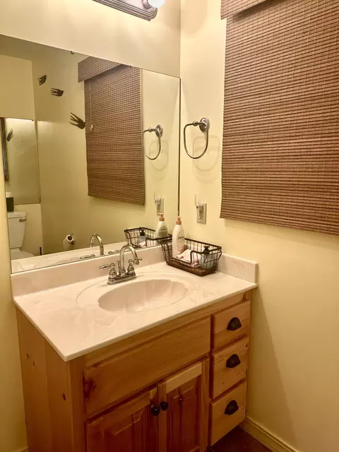 Bath - 136 Riverview Dr, Mammoth Spring, AR 72554 photo 3 of 7