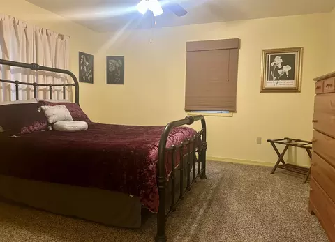 Bedroom - 136 Riverview Dr, Mammoth Spring, AR 72554 photo 1 of 8