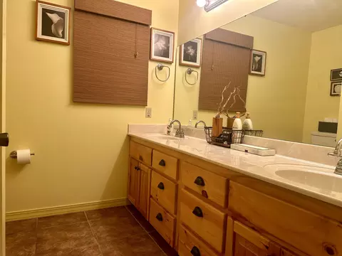 Bath - 136 Riverview Dr, Mammoth Spring, AR 72554 photo 1 of 7