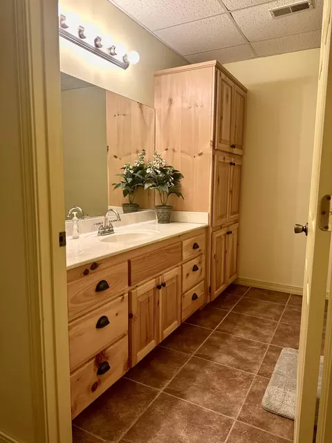 Bath - 136 Riverview Dr, Mammoth Spring, AR 72554 photo 5 of 7