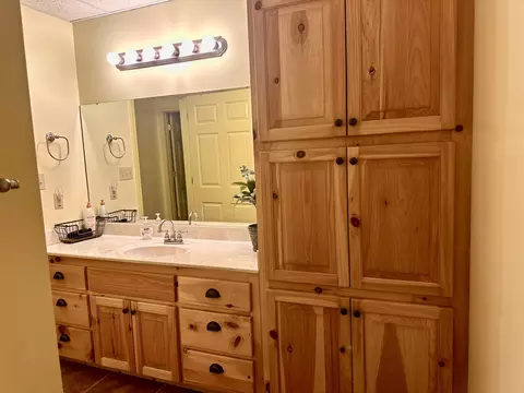 Bath - 136 Riverview Dr, Mammoth Spring, AR 72554 photo 6 of 7