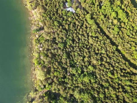 000 Peninsula Dr, Shell Knob, MO 65747 photo 2