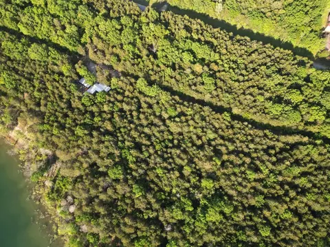 000 Peninsula Dr, Shell Knob, MO 65747 photo 3