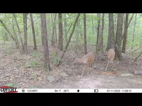 202 Big Bay Rd, Shell Knob, MO 65747 photo 18