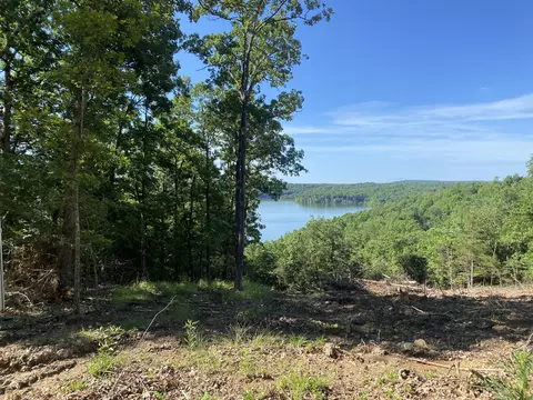 000 Driftwood Dr, Theodosia, MO 65761