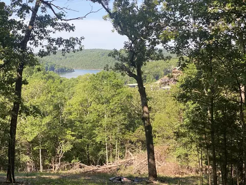 000 Que Cove Dr, Theodosia, MO 65761