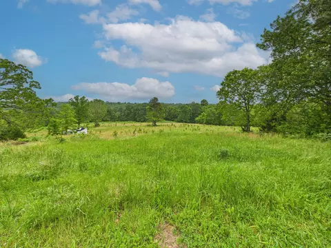 696 Finley Rd, Cabool, MO 65689 photo 3