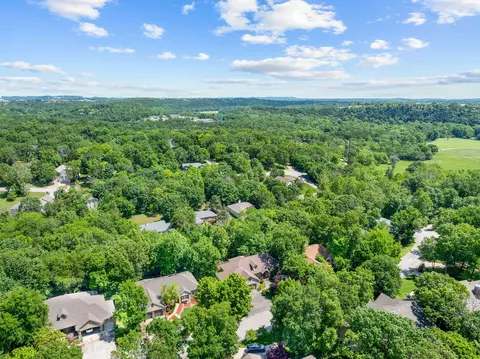 View/Area - 261 Country Bluff Dr, Branson, MO 65616 photo 2 of 12