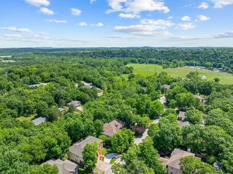 View/Area - 261 Country Bluff Dr, Branson, MO 65616 photo 10 of 12