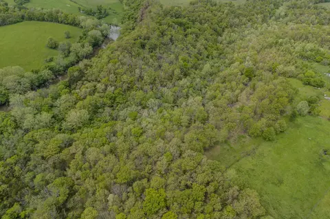 000 Indian Creek Loop, Buffalo, MO 65622 photo 22