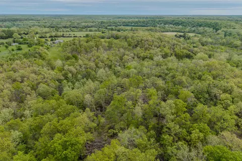 000 Indian Creek Loop, Buffalo, MO 65622 photo 29