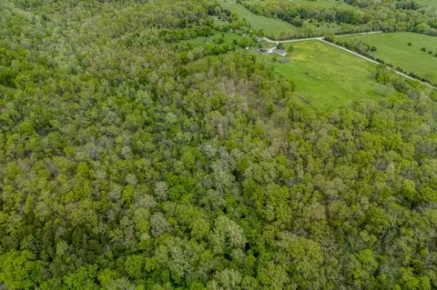000 Indian Creek Loop, Buffalo, MO 65622 photo 25