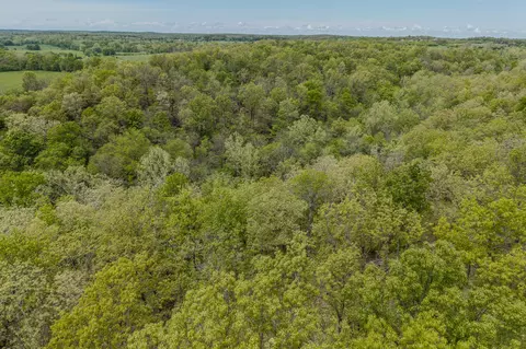 000 Indian Creek Loop, Buffalo, MO 65622 photo 40
