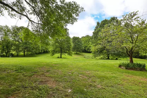 505 Stargrass Rd, Ozark, MO 65721 photo 59