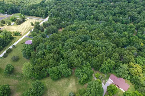 150 Licaria Rd, Ozark, MO 65721 photo 59