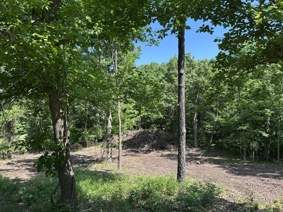  lot30 Shoal Creek Ests, Joplin, MO 64804 photo 2